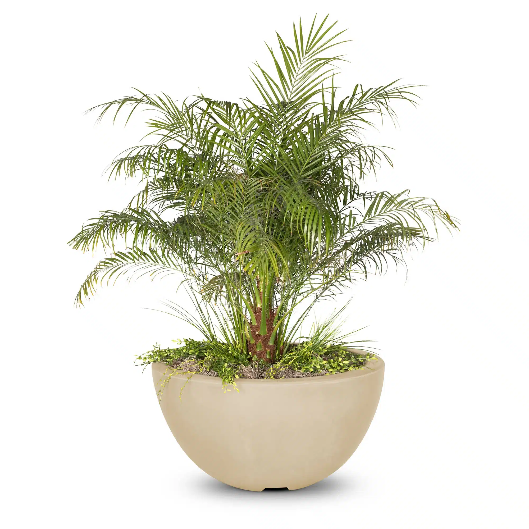 Luna GFRC Planter Bowl1 Luna GFRC Planter Bowl