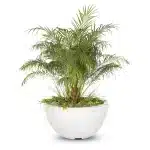 Luna GFRC Planter Bowl2 Luna GFRC Planter Bowl