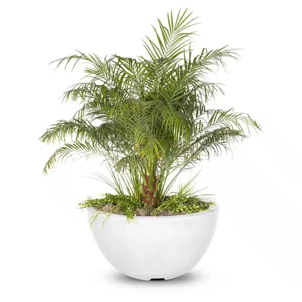 Luna GFRC Planter Bowl